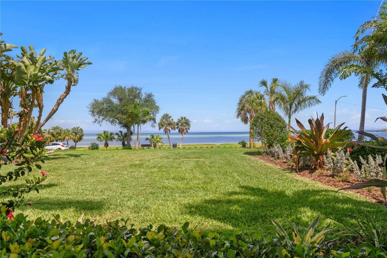 1803 Beach Drive Se, Saint Petersburg, FL 33705 Photo