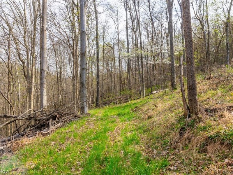 2115 Goss Fork Rd, Unit 1, Whipple, OH 45788 Photo 11