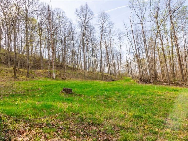 2115 Goss Fork Rd, Unit 1, Whipple, OH 45788 Photo 12