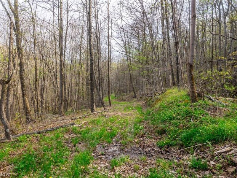 2115 Goss Fork Rd, Unit 1, Whipple, OH 45788 Photo 13