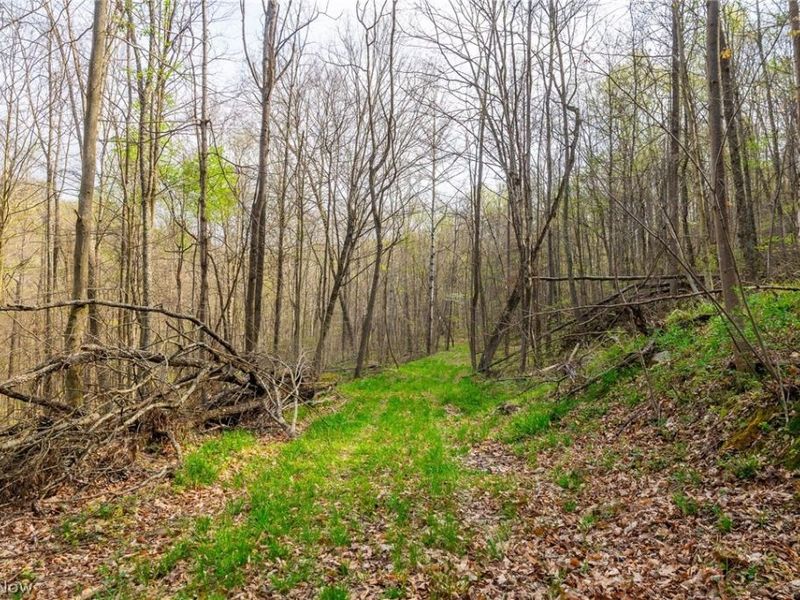 2115 Goss Fork Rd, Unit 1, Whipple, OH 45788 Photo 14