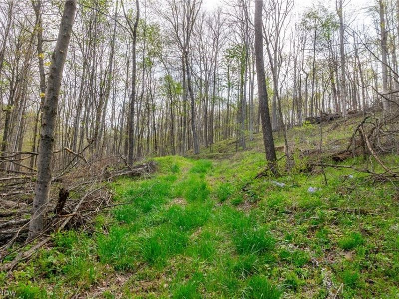 2115 Goss Fork Rd, Unit 1, Whipple, OH 45788 Photo 15