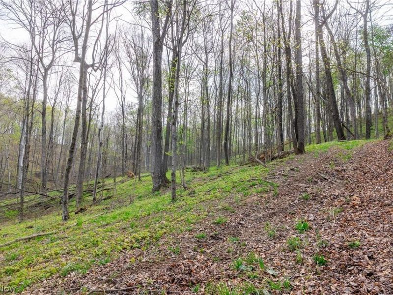 2115 Goss Fork Rd, Unit 1, Whipple, OH 45788 Photo 17