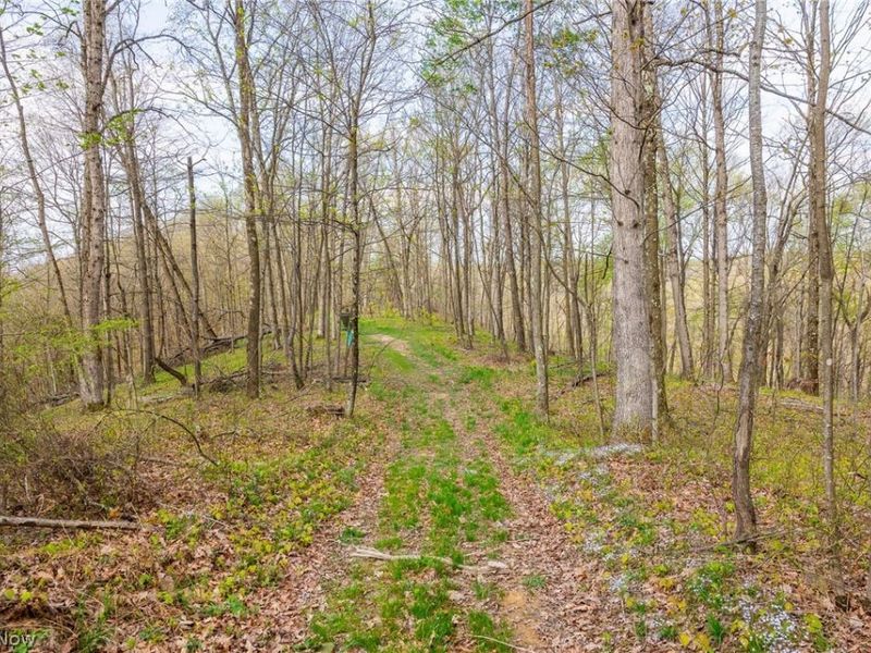 2115 Goss Fork Rd, Unit 1, Whipple, OH 45788 Photo 19