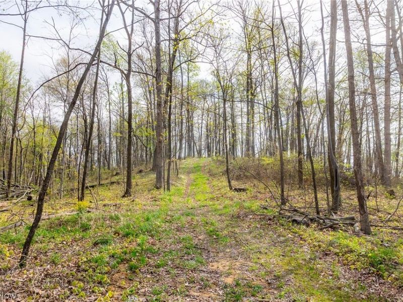 2115 Goss Fork Rd, Unit 1, Whipple, OH 45788 Photo 22