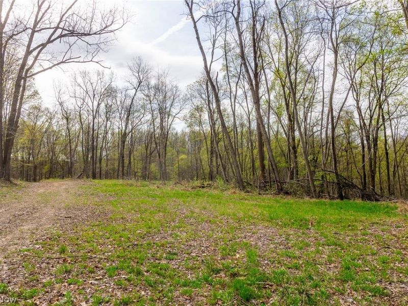 2115 Goss Fork Rd, Unit 1, Whipple, OH 45788 Photo 26