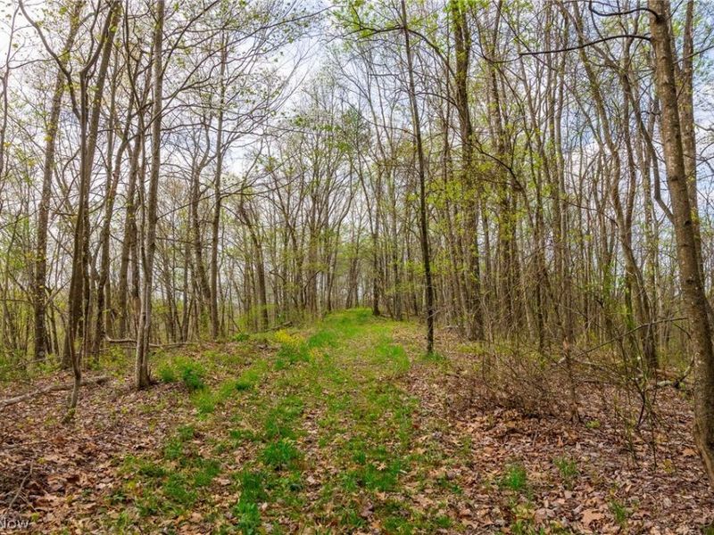 2115 Goss Fork Rd, Unit 1, Whipple, OH 45788 Photo 28