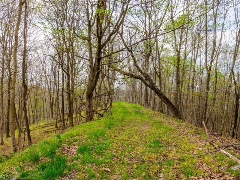 2115 Goss Fork Rd, Unit 1, Whipple, OH 45788 Photo 29