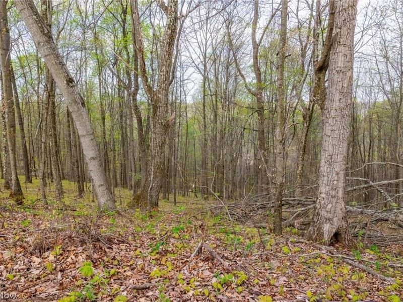 2115 Goss Fork Rd, Unit 1, Whipple, OH 45788 Photo 30