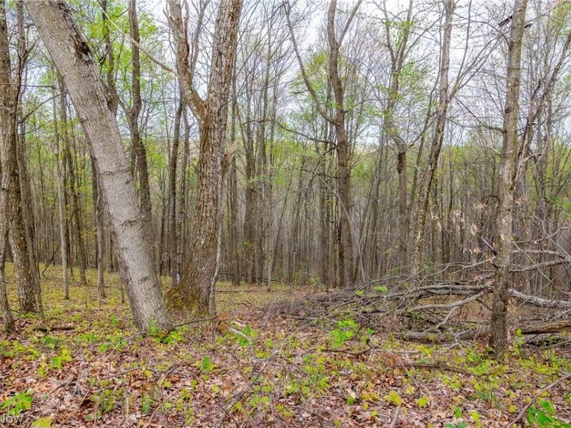 2115 Goss Fork Rd, Unit 1, Whipple, OH 45788 Photo 31