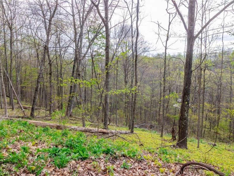 2115 Goss Fork Rd, Unit 1, Whipple, OH 45788 Photo 32
