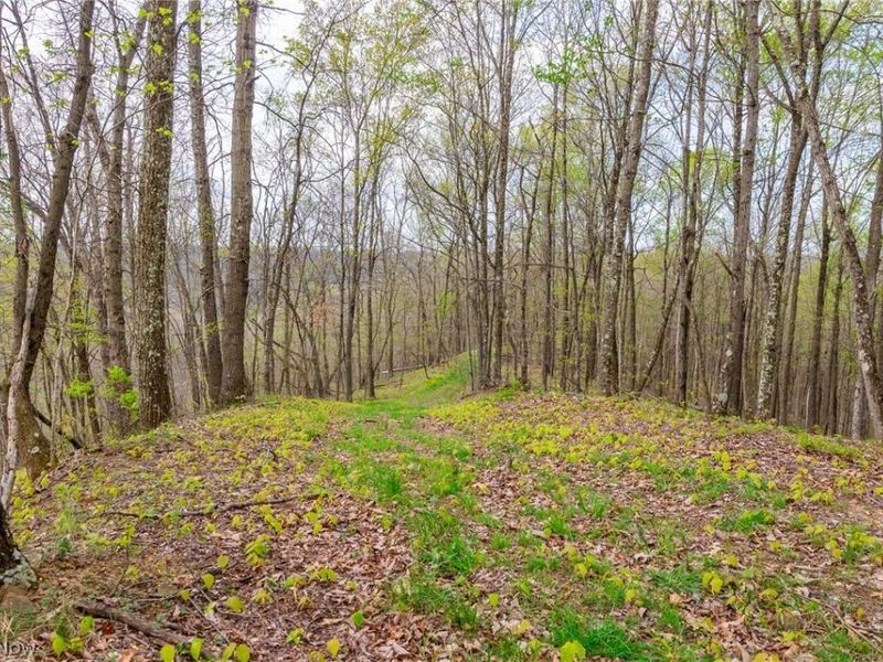 2115 Goss Fork Rd, Unit 1, Whipple, OH 45788 Photo 33