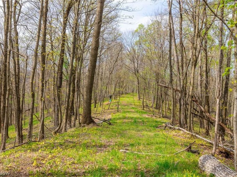 2115 Goss Fork Rd, Unit 1, Whipple, OH 45788 Photo 34