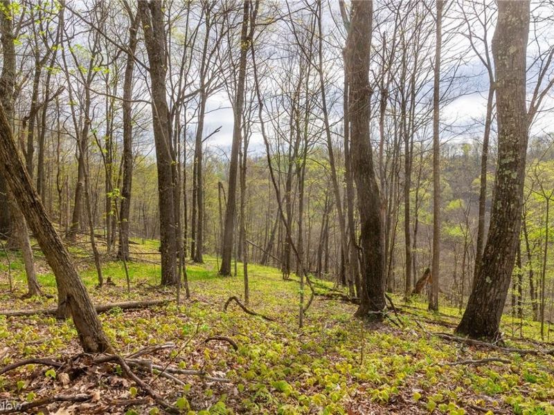 2115 Goss Fork Rd, Unit 1, Whipple, OH 45788 Photo 36