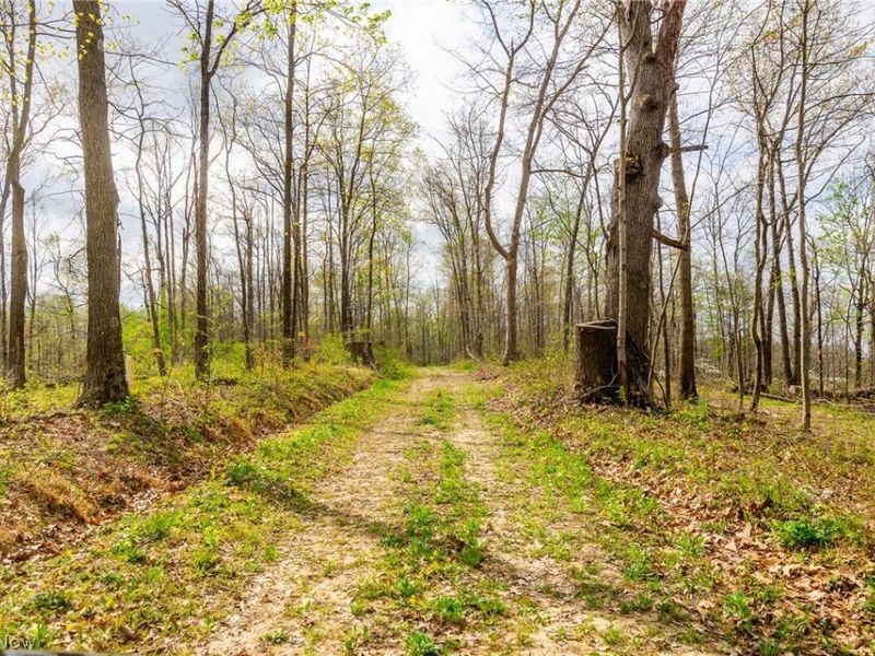 2115 Goss Fork Rd, Unit 1, Whipple, OH 45788 Photo 38