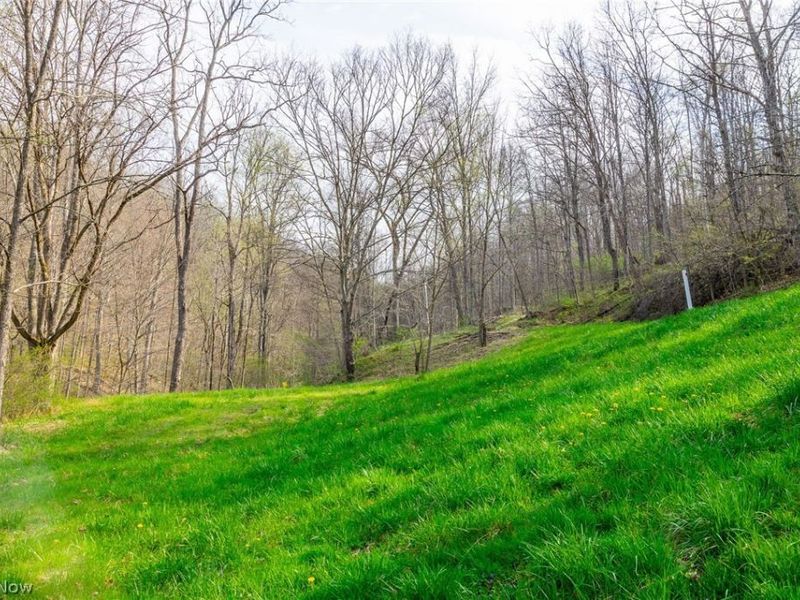 2115 Goss Fork Rd, Unit 1, Whipple, OH 45788 Photo 9