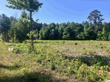 9014 Lot 4 HIGHWAY 80, Simsboro, LA 71275