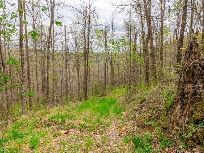 2115 Goss Fork Rd, Unit 2, Whipple, OH 45788 Photo 10