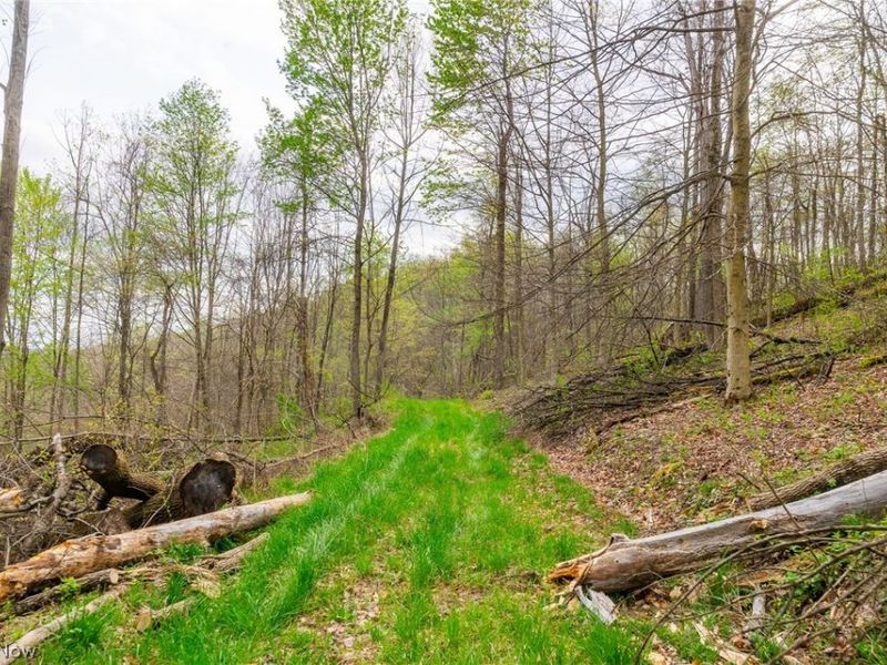 2115 Goss Fork Rd, Unit 2, Whipple, OH 45788 Photo 11