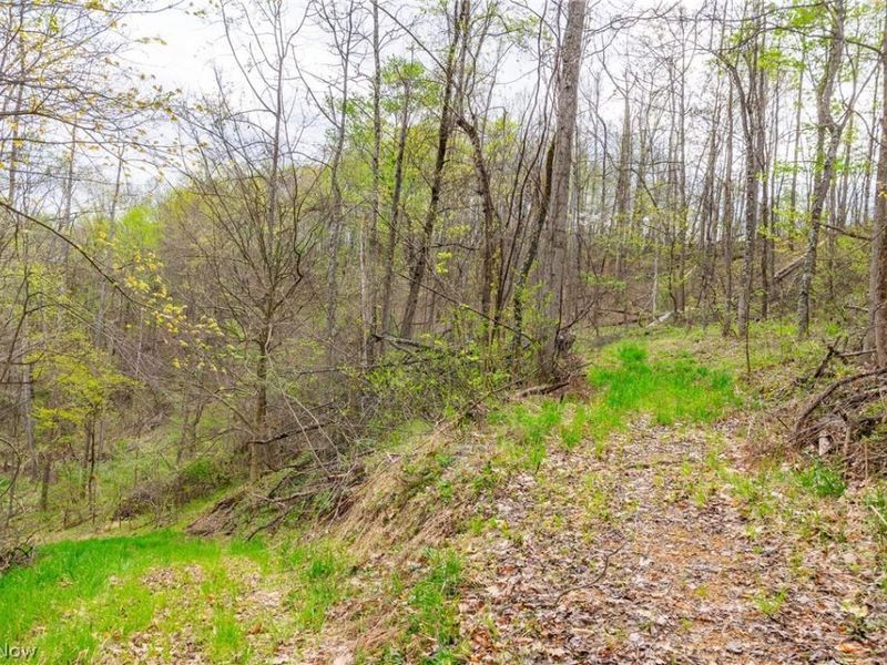 2115 Goss Fork Rd, Unit 2, Whipple, OH 45788 Photo 12