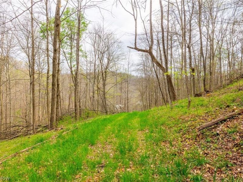 2115 Goss Fork Rd, Unit 2, Whipple, OH 45788 Photo 13