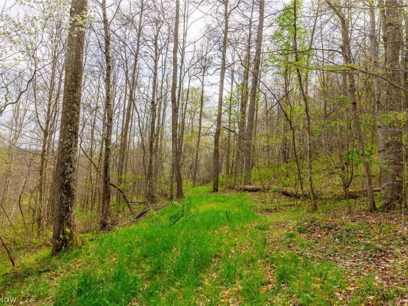 2115 Goss Fork Rd, Unit 2, Whipple, OH 45788 Photo 14