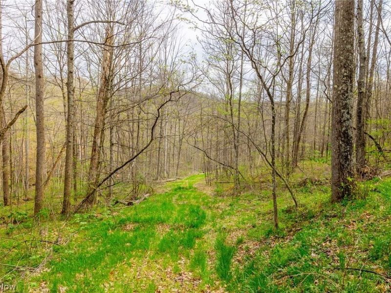2115 Goss Fork Rd, Unit 2, Whipple, OH 45788 Photo 15