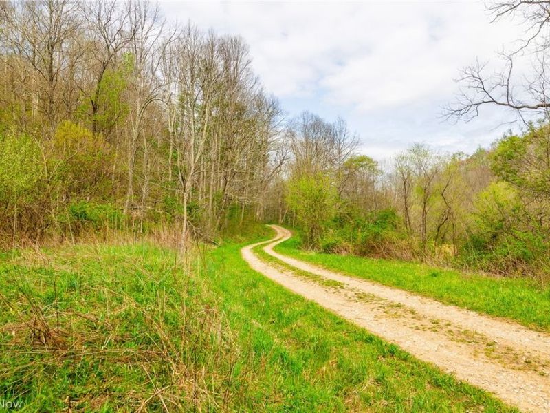 2115 Goss Fork Rd, Unit 2, Whipple, OH 45788 Photo 18