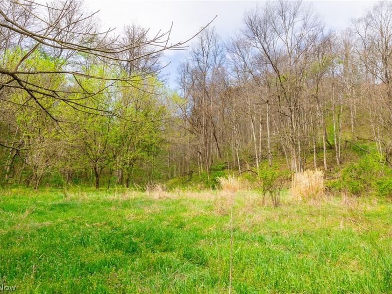 2115 Goss Fork Rd, Unit 2, Whipple, OH 45788 Photo 20