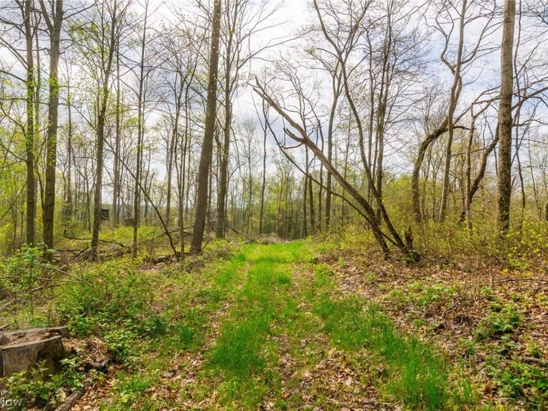 2115 Goss Fork Rd, Unit 2, Whipple, OH 45788 Photo 3