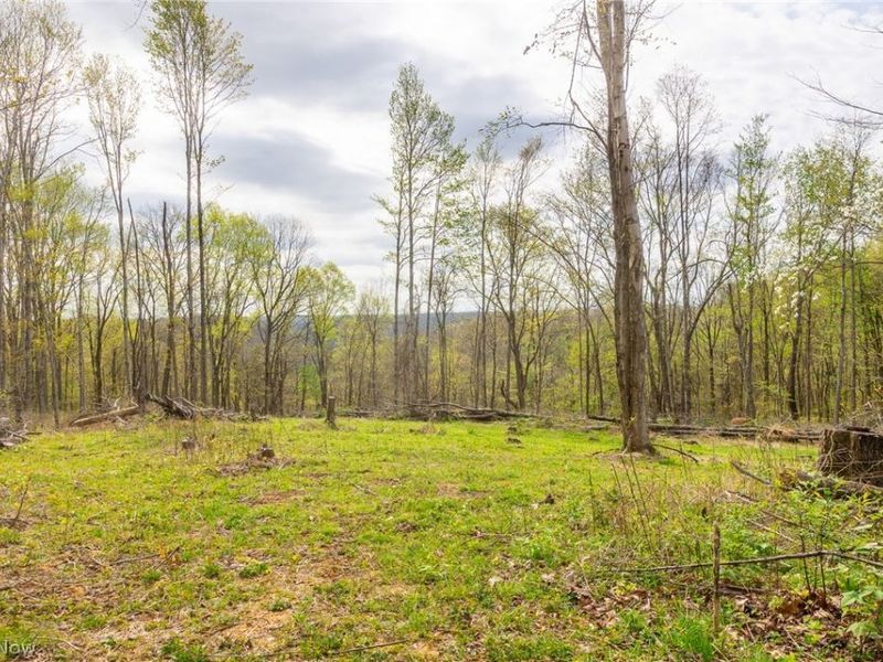 2115 Goss Fork Rd, Unit 2, Whipple, OH 45788 Photo 4