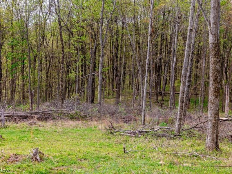 2115 Goss Fork Rd, Unit 2, Whipple, OH 45788 Photo 5