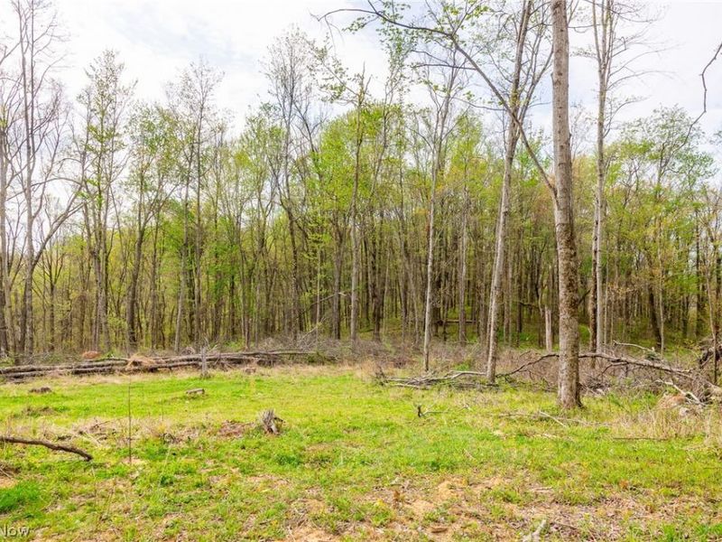2115 Goss Fork Rd, Unit 2, Whipple, OH 45788 Photo 6