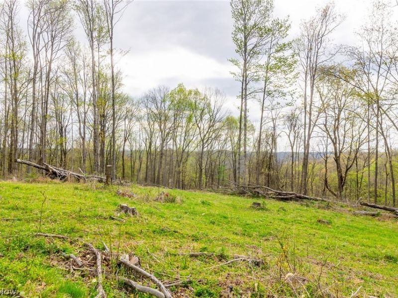 2115 Goss Fork Rd, Unit 2, Whipple, OH 45788 Photo 7