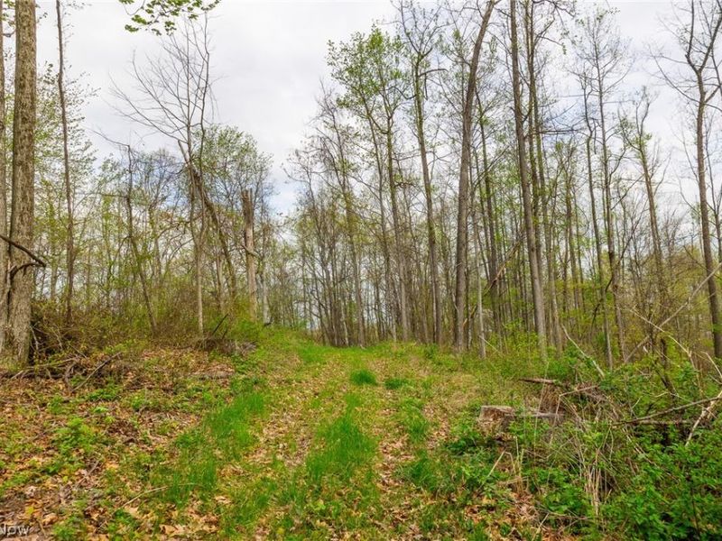 2115 Goss Fork Rd, Unit 2, Whipple, OH 45788 Photo 9