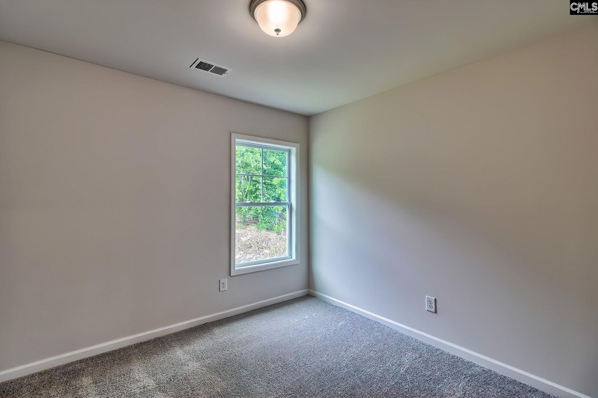 812 Daniel Lake Court  Photo 19