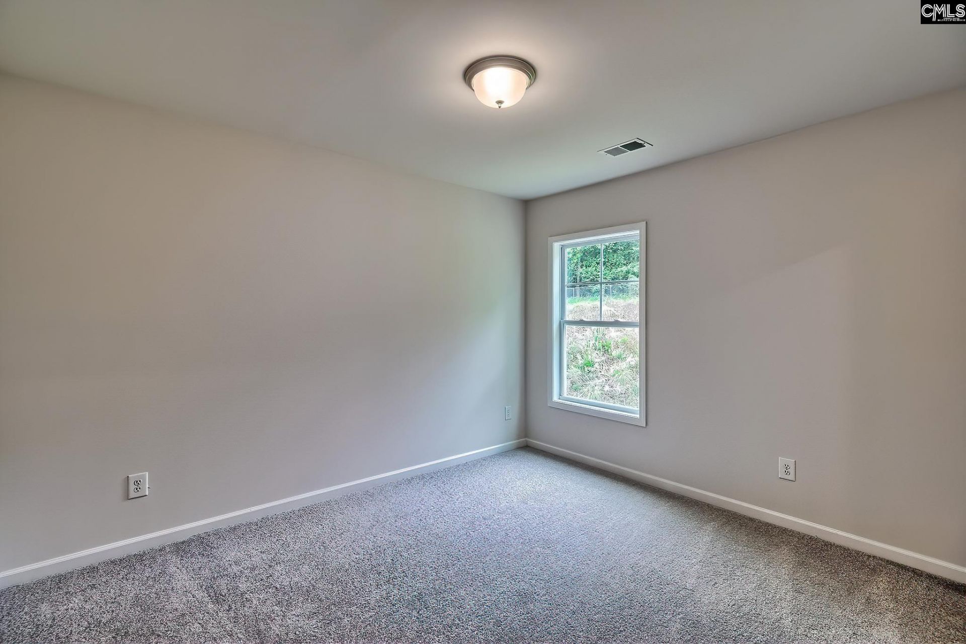 812 Daniel Lake Court  Photo 21