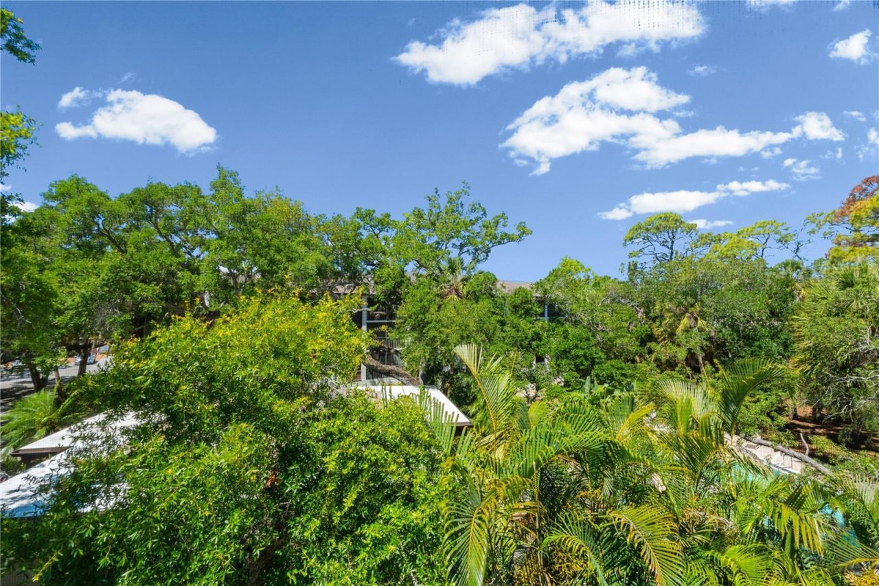 2746 Orchid Oaks Drive, Unit 301, Sarasota, FL 34239 Photo