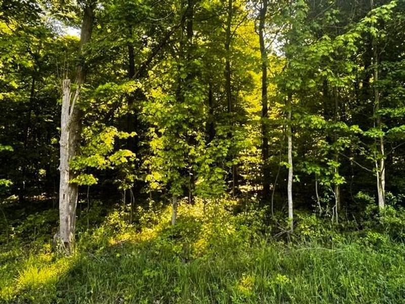 0 Feasel Road , Mount Vernon, OH 43050 Photo 1