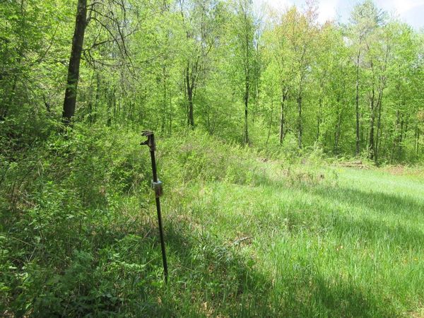 xxx 810th Street , Boyceville, WI 54751