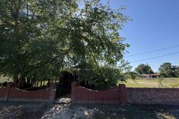 318 Wilmont St. photo 4