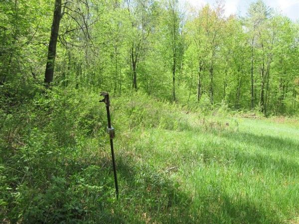 xxx 810th Street, Boyceville, WI 54751
