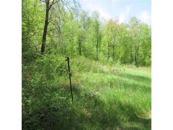 xxx 810th Street, Boyceville, WI 54751