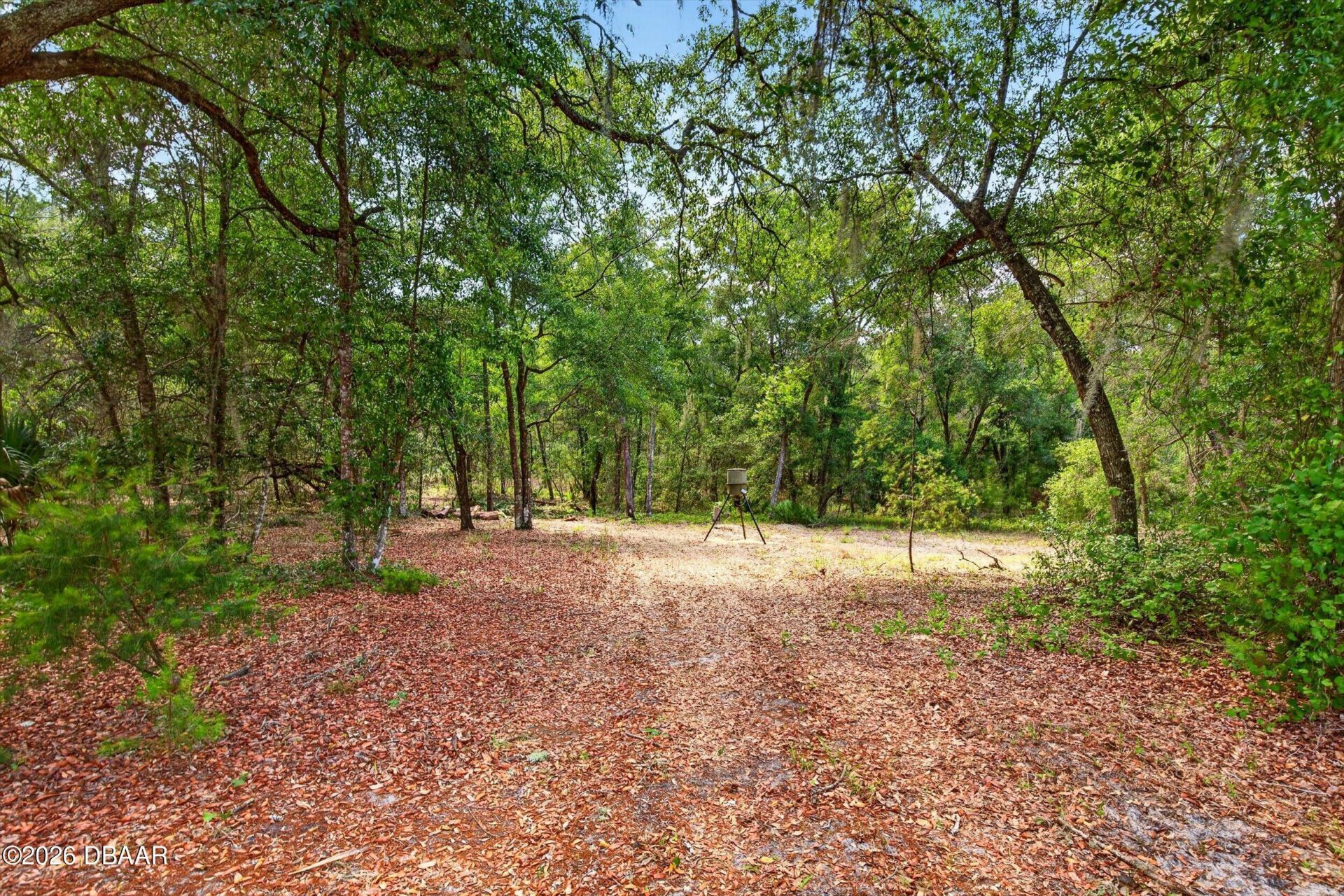 5390 East Avenue, De Leon Springs, FL 32130 Photo