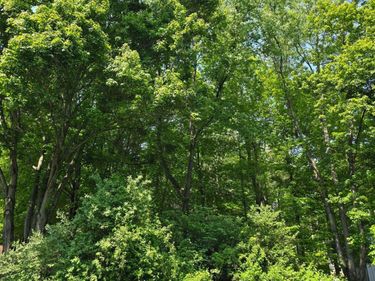 320 Woodlawn Circle , Howard, OH 43028