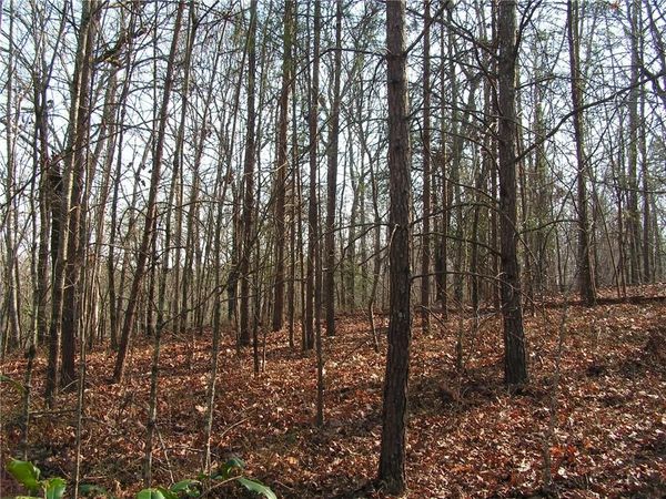 0 Mount Pleasant Church Road , Cleveland, GA 30528