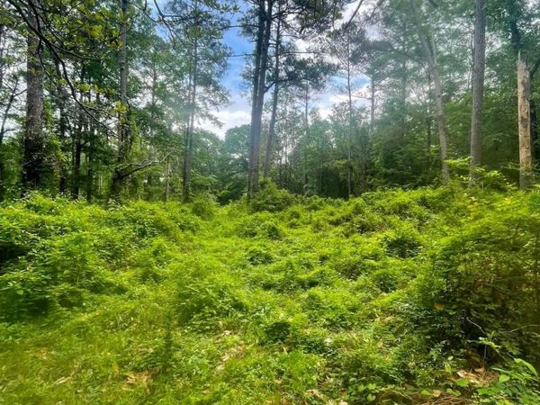 2 Magnolia Progress Road, Magnolia, MS 39652