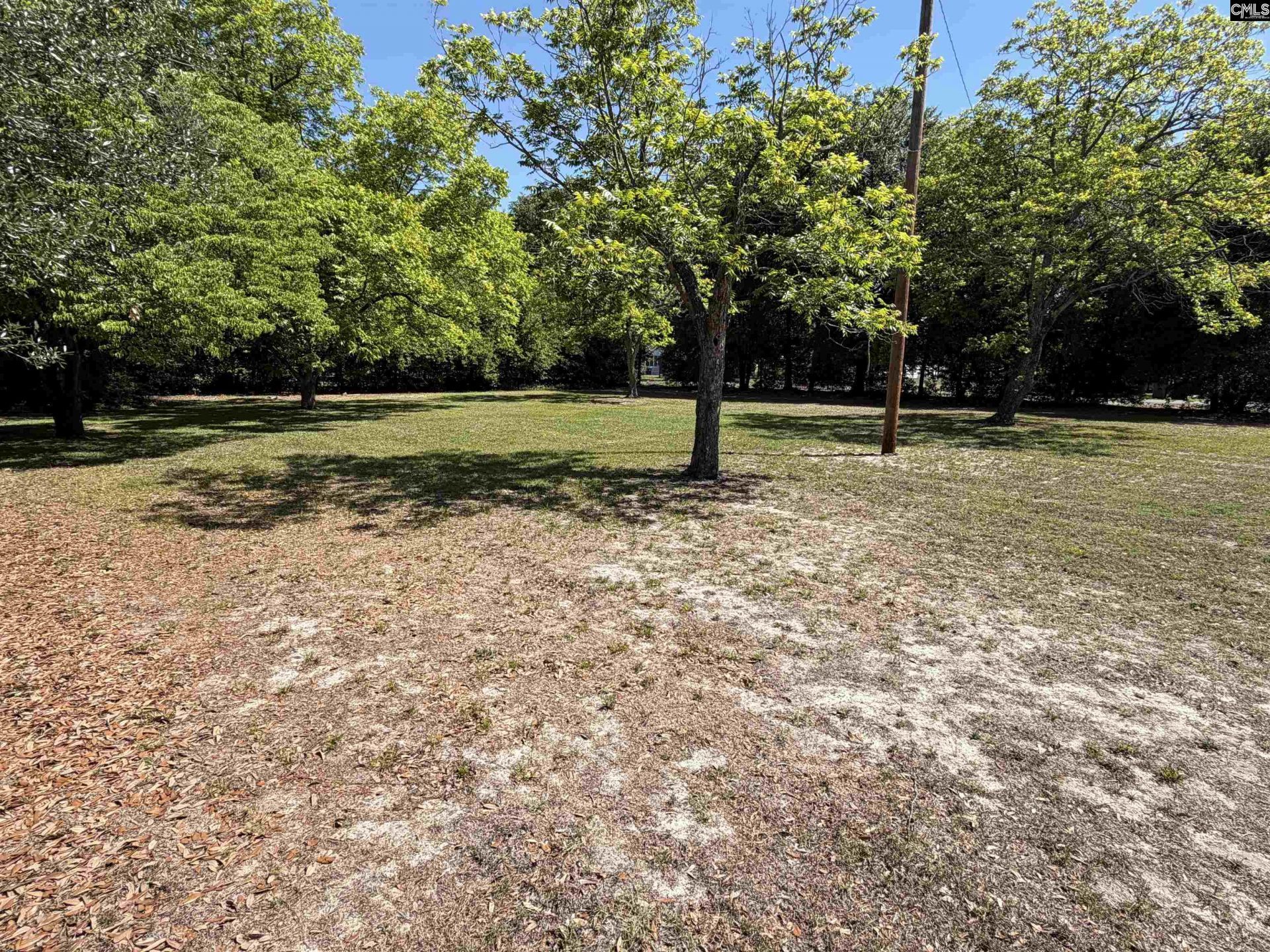 202 W Stevens Drive  Photo 9