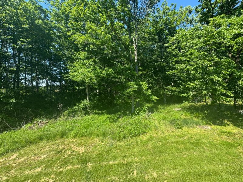 13167 Corrina, Sardinia, OH 45171 Photo 21