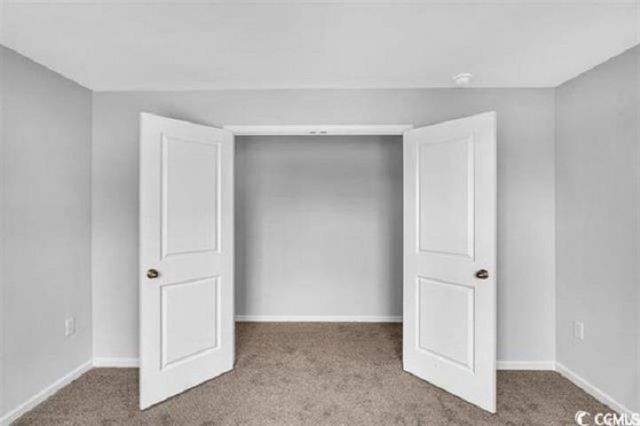 1056 Cherrystone Loop Photo 28